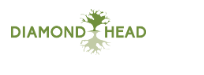 Diamond Head Consulting Ltd